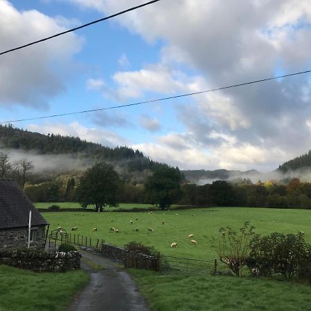 Tyddyn Bach Barn Villa เบเทส-อี-คอย ภายนอก รูปภาพ