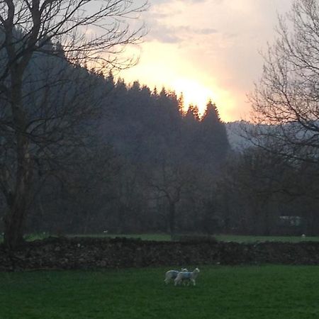 Tyddyn Bach Barn Villa เบเทส-อี-คอย ห้อง รูปภาพ