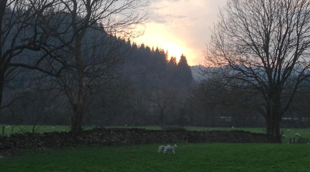 Tyddyn Bach Barn Villa เบเทส-อี-คอย ห้อง รูปภาพ